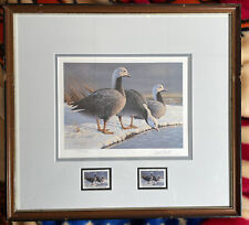 1985 Alaska Waterfowl Stamp and Print signed by Daniel Smith Framed picture