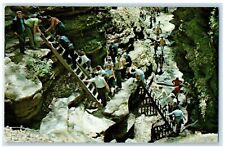 c1960 Parke County Indiana Ladder Trail Turkey Run State Park Vintage Postcard picture