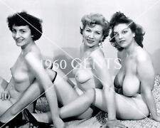 1950s Photo Print Big Breasts Brunette Model Elenor Ames Art EA7 picture