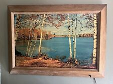 Vintage Helmscene Backlit Cypress Framed Photo Lake Saranac Birches NY #88 MCM picture