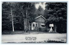c1930's Woodland Cottage Teepee Tonka Lodge Blackduck Minnesota MN Postcard picture
