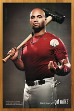 2010 Albert Pujols GOT MILK? Print Ad/Poster St Louis Cardinals MLB Baseball Art picture