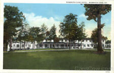 Mammoth Cave Hotel,KY Teich Edmonson County Kentucky Antique Postcard Vintage picture