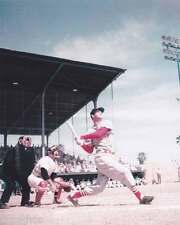 Stan Musial St. Louis Cardinals 8x10 Photo 003 picture