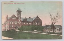 Ferris Institute Big Rapids Michigan 1909 Antique Postcard picture