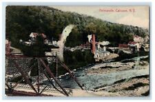 c1910's Hermanville Bridge Scene Callicoon New York NY Posted Antique Postcard picture