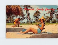 Postcard Florida's Lovely Coconuts Florida USA picture