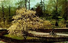 Brooklyn Botanic Garden, Brooklyn, New York NY chrome Postcard picture