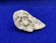 NWA 13974 Moon/Lunar Meteorite, Feldspathic Breccia, Recent Find, 1.73 grams picture