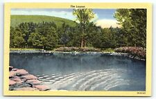 1945 ALLEGANY STATE PARK NEW YORK NY THE LAGOON UNPOSTED LINEN POSTCARD P2633 picture