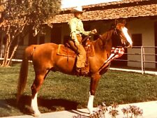 AvH) Found Photo Photograph 1973 Man On Handsome Horse BUSTER picture