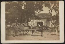 Negro slaves 1862 Edisto Island, S.C. (plantation of James Hopkinson) picture