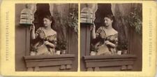 18 nice Stereoviews Genre ca 1880-1900  (hand tinted)  Lot 6 picture