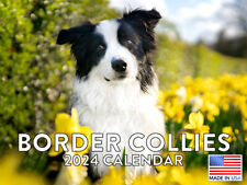 Border Collie Dog 2024 Wall Calendar picture