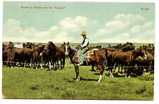 “M300 - Round up Horses & Rangler