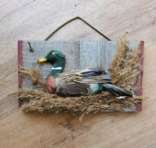 Vintage Mallard Duck Wall Hanging Made Of Feathers One Of A Kind Rare picture