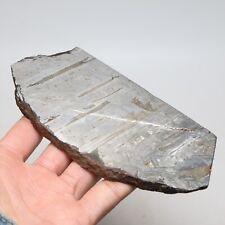 469g  Muonionalusta meteorite part slice C7319 picture