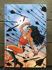 Absolute Wonder Woman by Azzarello & Chiang Volume 1 DC Comics HC  picture