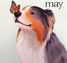 Australian Shepherd Butterfly May Dog Days Poster Calendar 14 x 11