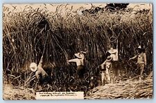 Lucas Kansas KS Postcard RPPC Photo Harvesting Wheat In Kansas Exaggerated 1909 picture