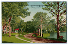 c1940's Osceola Avenue Along Lake Mizell, Winter Park Florida FL Postcard picture