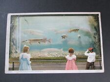 Early Post Card, IN THE AQUARIUM, BELLEISLE PARK, DETROIT, MICHIGAN picture