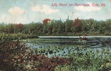 Lily Pond on Peninsula, Erie, Pennsylvania PA - 1907 Vintage Postcard picture