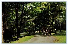 c1960s Cabin Area at Gilbert Lake State Park Laurens New York NY Postcard picture