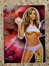 #rd 5/5 PINK FOIL ROOKIE CASE HIT 2009 Bench Warmer Limited #13 Mandy Lynn SSP picture