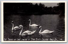 Ames IA~Iowa State College~Lake Laverne Swan Scene~Real Photo~1950s RPPC picture