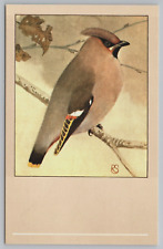 Cedar Waxwing Bird P. Sluis Series 9 No 102 Vtg 1960 Postcard C13 picture