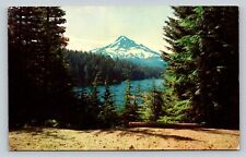 Mount Hood From Lost Lake Viewpoint In Oregon VINTAGE Postcard picture