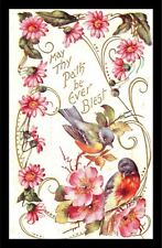 c1910 Birds Flowers Leaves Red Breasted Lisbon Maine Embossed Postcard 277 picture