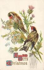 c1910 Birds On Thistle Gilt Embossed Postcard Christmas P163 picture