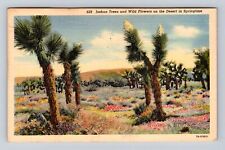Joshua Trees & Wild Flowers On The Desert In Springtime Vintage c1938 Postcard picture