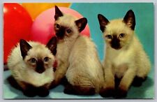 Postcard Three Siamese Kittens Ballons UNP VTG Unused Vintage CK 231 picture