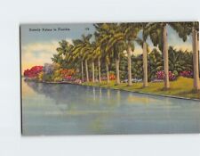 Postcard Stately Palms in Florida USA North America picture