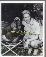 Cheryl Miller with Chimpanzee monkeys Daktari rare vintage 1966 candid photo picture