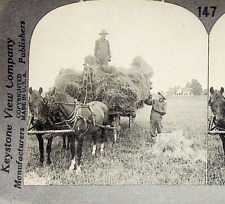 Hay Oats Wagon Horse Team Illiinois Photograph Keystone Stereoview Card picture