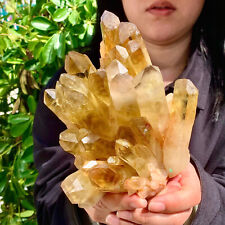 3.57LB Natural Citrine cluster mineral specimen quartz crystal healing picture