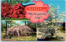 Postcard The Hospitality State Greetings Mississippi Azaleas, Wisteria & Dogwood picture