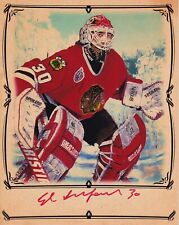 ED BELFOUR Autographed Photo (8 x 10) - Chicago Blackhawks - TW PRESTIGE picture