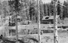 Delaney's Trout Farm Sattley California 1950s view OLD PHOTO 3 picture