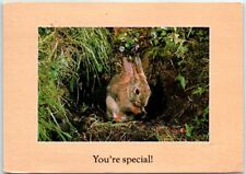Postcard - You're special picture