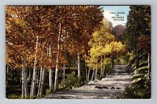 CO-Colorado Fall Scene In The Rockies Mountain Trail Vintage Souvenir Postcard picture