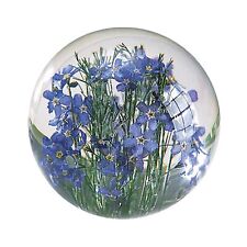 Forget-Me-Not Blue Flower Round Resin Paperweight picture