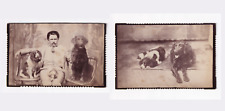 Antique Crimped Cabinet Card LOT (2) Man & Dogs Springer Spaniel & Irish Setter picture