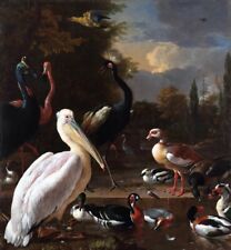 Dream-art Oil painting Melchior-De-Hondecoeter-The-Floating-Feather birds ducks picture