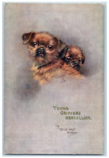 Postcard Two Young Griffons Bruxellois Maud West Watson c1910 Oilette Tuck Dogs picture