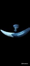 Smilodon fatalis (sabre toothed cat ) fossil replica canine and claw combo picture